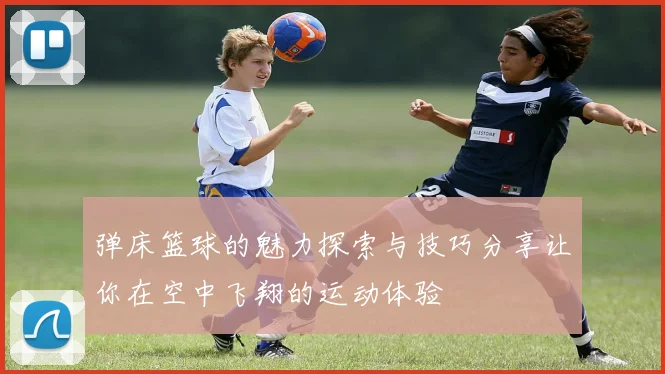 弹床篮球的魅力探索与技巧分享让你在空中飞翔的运动体验