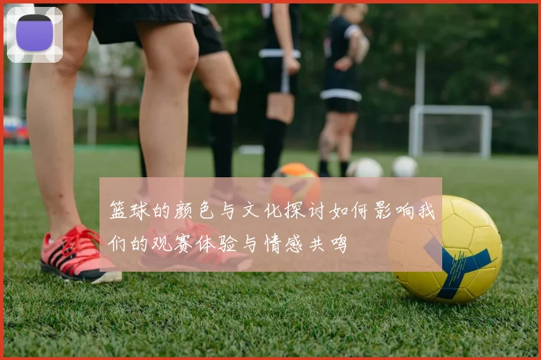 篮球的颜色与文化探讨如何影响我们的观赛体验与情感共鸣