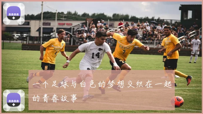 一个足球与白色的梦想交织在一起的青春故事